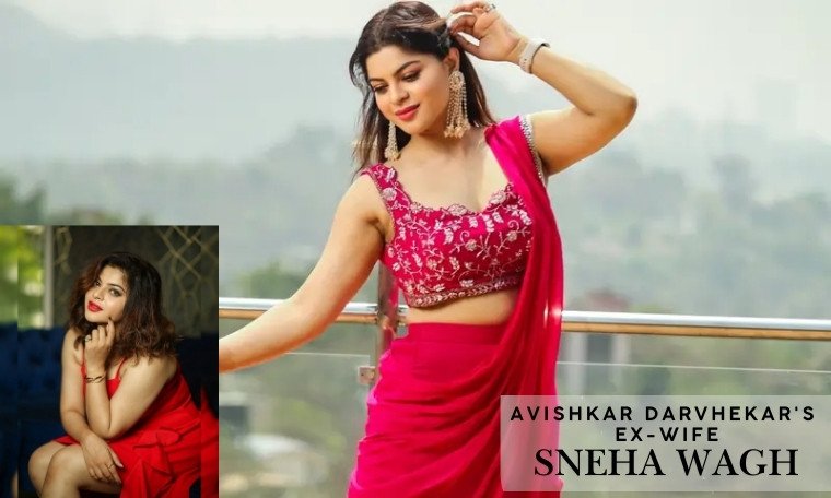 Avishkar Darvhekar ex-wife